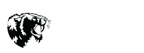 Discovery Middle School Logo