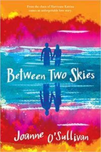 Between Two Skies by Joanne O'Sullivan book cover